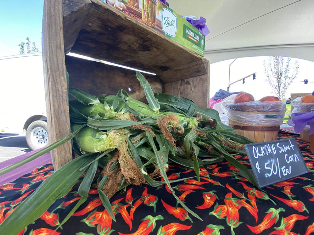 Olathe Sweet Corn Festival is moving to Montrose... again Montrose Business Times
